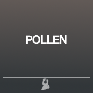 Picture of POLLEN
