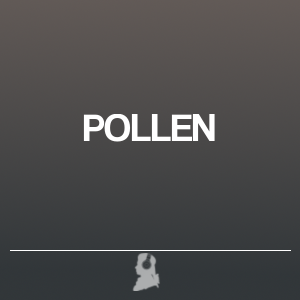 Bild von POLLEN