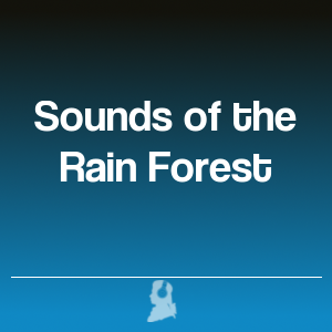 Picture of Sounds of the Rain Forest