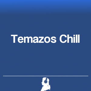 Picture of Temazos Chill
